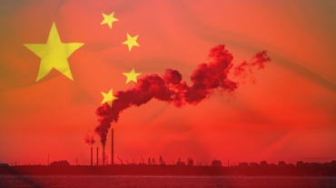 Cultivating Resilience: The Crucial Role of Climate Risk Disclosure for Businesses