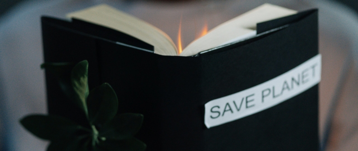 Cultivating Resilience: The Crucial Role of Climate Risk Disclosure for Businesses