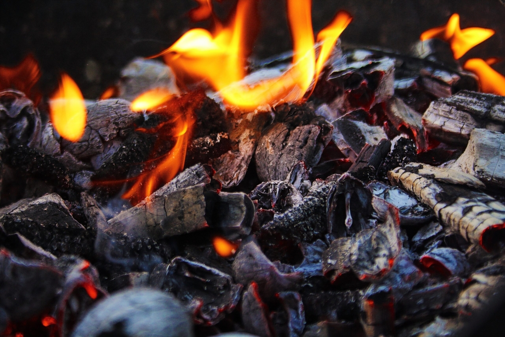 From VCS to Gold Standard: A Dive into Carbon Credit Standards and Registries in India