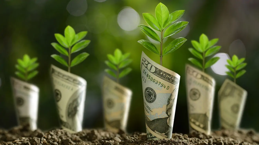 Going Green: A Reality or a Facade?